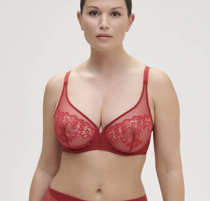 Saga Full Coverage Plunge Bra - Flirt! Luxe Lingerie & Sleepwear